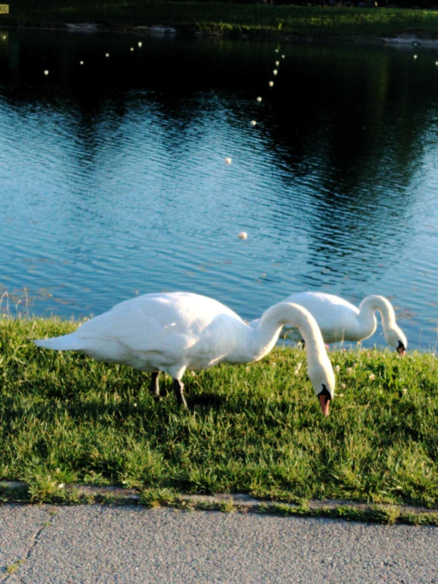 The Lake Zagreb Exterior foto